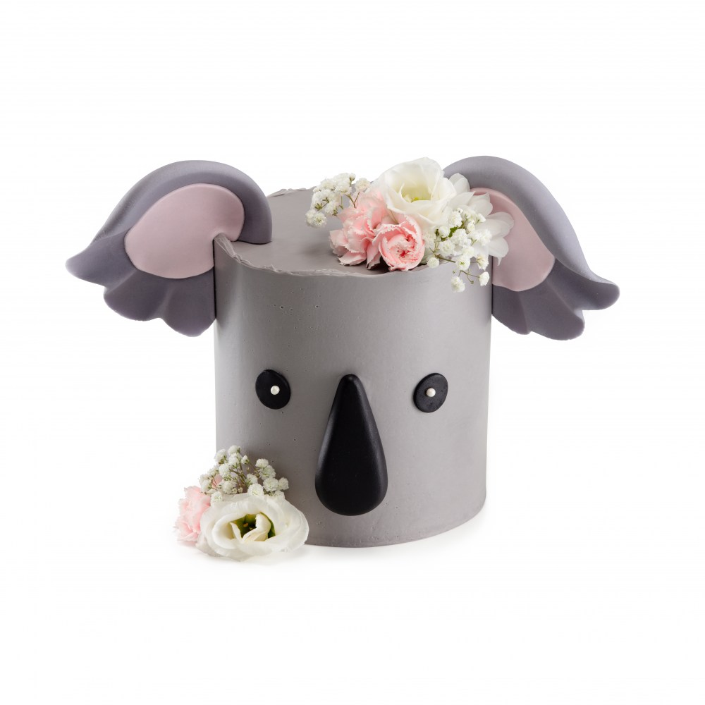 Koala Ollies