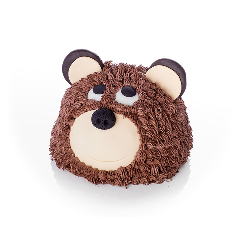 Teddy bear cake Ollies